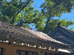 -北京国子监胡同
