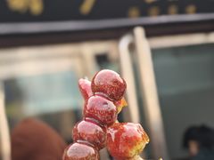 -糖葫芦王保定名吃(古莲花池店)