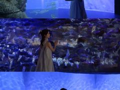 -波塞冬旅游度假区