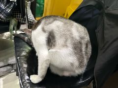 -谜盒子奇幻密室(南屏店)