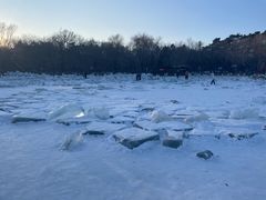 -长春市南湖公园