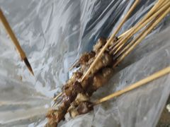 -劳动公园新疆人烤腰子