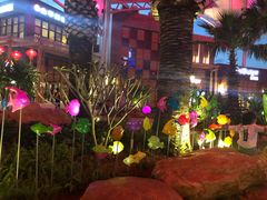 -三亚海昌梦幻海洋不夜城