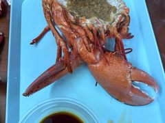 蒜蓉蒸波士顿龙虾-强记龙虾钳(定安里店)