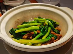 -鹿园 MOOSE(长宁店)