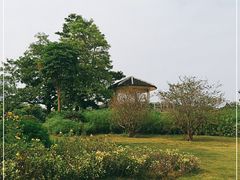 -南沙蒲洲花园