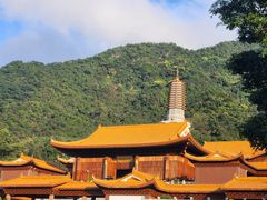 -深圳仙湖植物园