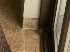 -三亚海棠湾万丽度假酒店