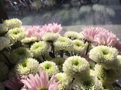 -VOYAGE COFFEE(北锣鼓巷店)