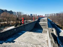 -洛阳市隋唐城遗址植物园