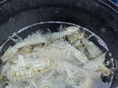 -蓝湾碧波·老字号·疍家非遗海上餐厅
