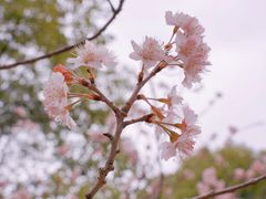 -闵行体育公园(七宝镇)
