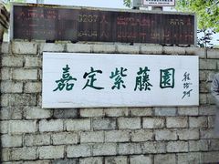 -嘉定紫藤园