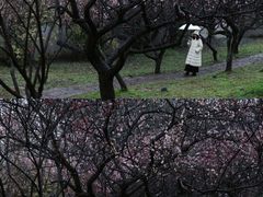 -无锡梅园公园