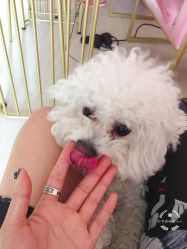 -Pink You美甲美睫纹绣定制中心