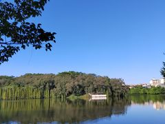 -三水森林公园