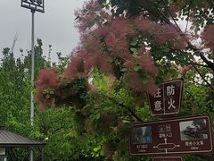 -永定河休闲森林公园