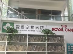 -爱侣宠医·鹦鹉专科·小型哺乳类·异宠专科(灵石路店)