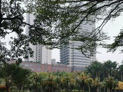 -东风公园
