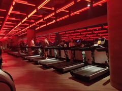 -威尔仕健身(丁香国际店)