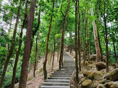 -火炉山森林公园