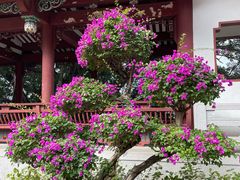 -乌山风景区