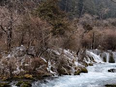 -九寨沟-树正沟