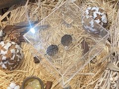 -大视光学•LINDBERG林德伯格•全球手工眼镜集合店(王府井店)