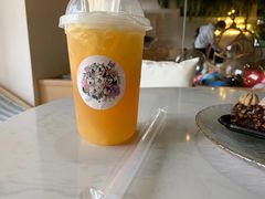 -Husky Go! 哈士奇体验馆·宠物咖啡厅狗咖