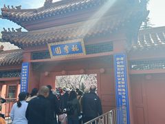 -桃花堤公园