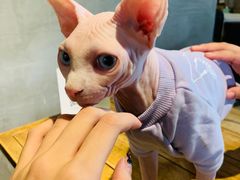 -新沙洞咖啡(泉乐坊店)