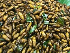 -席娜卡琳火车铁道夜市