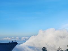 -秦岭天竺山景区