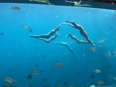 -瑞德姆美人鱼海底演艺主题餐厅(亚龙湾店)