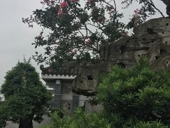 -老幺泉水鸡