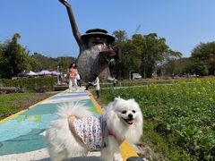 -红山村