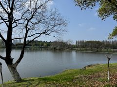 -艾溪湖湿地公园