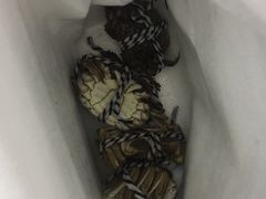 -喜洋洋蟹庄(阳澄湖店)