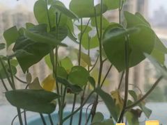 -佰推·肩颈腰·推拿理疗(湾悦城店)