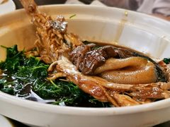 红烧河鱼秧草-鸿运酒楼