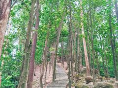 -火炉山森林公园