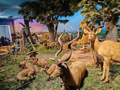 -国家自然博物馆