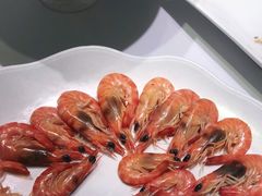 -宝燕壹号(徐汇店)