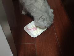 -贝紫Style(木马公寓店)