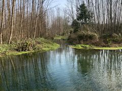 -桤木河湿地公园