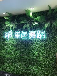 -单色舞蹈