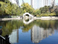 -紫竹院公园冰场