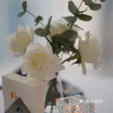 打卡了长沙新开的高空法式餐厅！ 