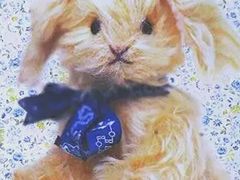 -香港珍妮曲奇聪明小熊饼干(迪美购物中心店)