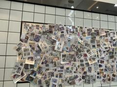 -半岛宠物医院24小时(科华中路店)